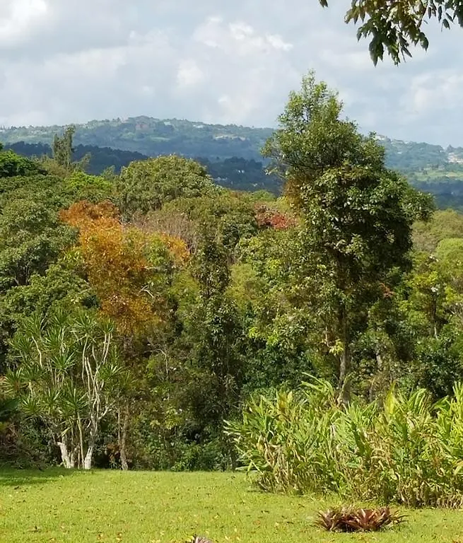 Villa Hermosa En El Yunque Rio Grande