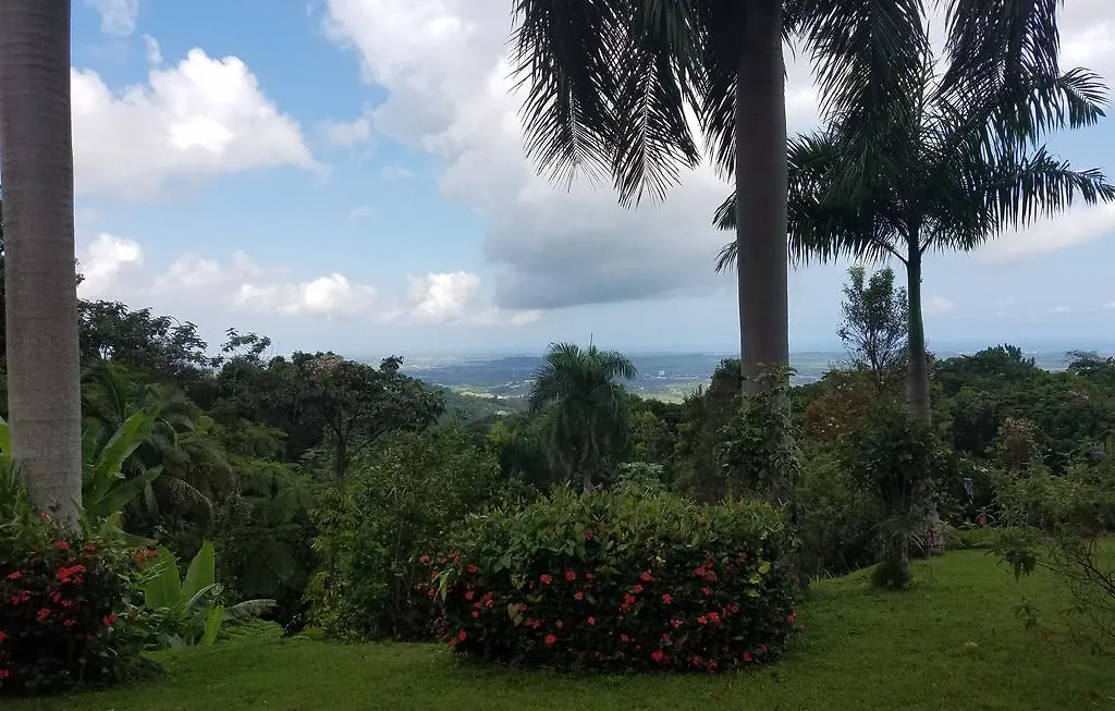Villa Hermosa En El Yunque Rio Grande