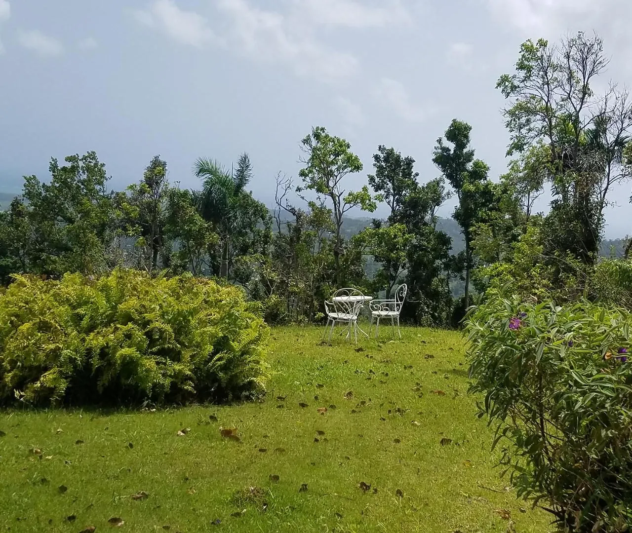 Villa Hermosa En El Yunque Rio Grande